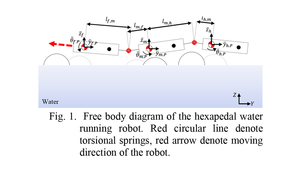 Dynamic analysis on hexapedal water-running robot with compliant joints