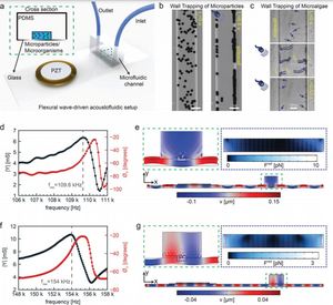 Flexural wave-based soft attractor walls for trapping microparticles and cells