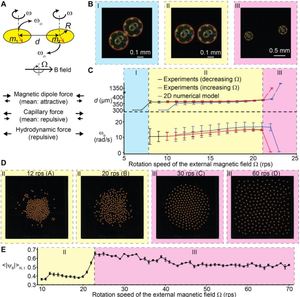 Order and Information in the Patterns of Spinning Magnetic Micro-disks at the Air-water Interface